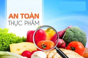 BÀI TUYÊN TRUYỀN AN TOÀN THỰC PHẨM MÙA THI 2024