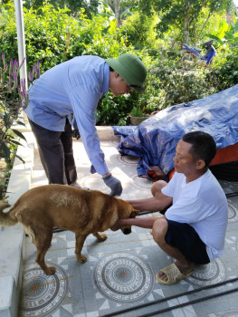 Bài tuyên truyền về  phòng  chống bệnh Dại cho đàn Chó Mèo