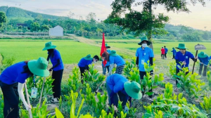 Hoạt động tình nguyện hè của Đoàn thanh niên xã Tây Thành