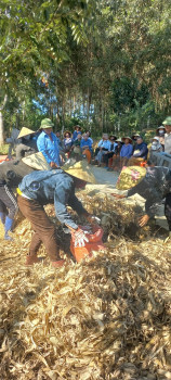 hình ảnh  đang ủ chế phẩm vi sinh